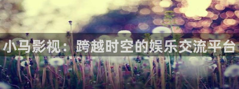 如来佛祖和孙悟空视频：小马影视：跨越时空的娱乐交流平台