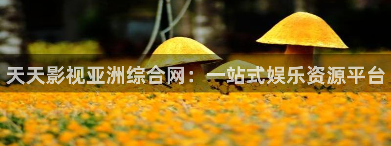 悟空免费观看视频在线观看：天天影视亚洲综合网：一站式娱乐资源平台