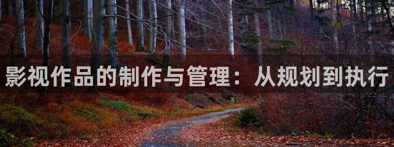 悟空完整：影视作品的制作与管理：从规划到执行