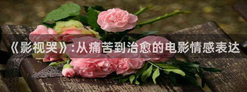 悟空电影视频大全
