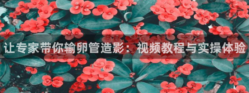 悟空影院神马：让专家带你输卵管造影：视频教程与实操体验