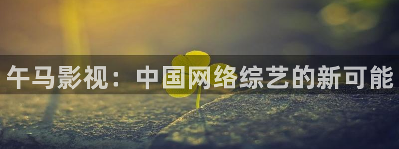 悟空短剧视频