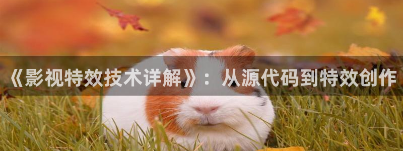 悟空在线视频