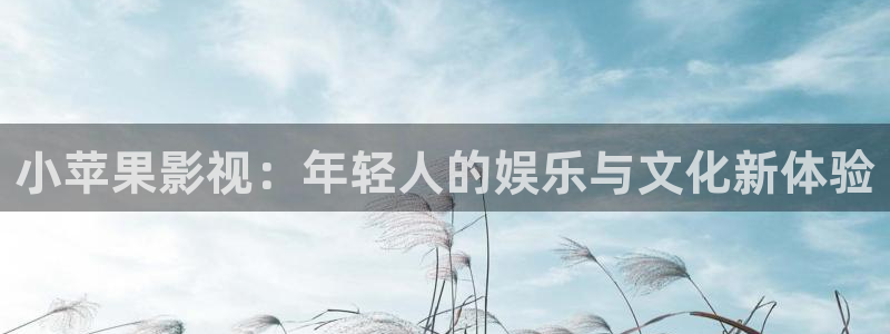 孙悟空的烦死了视频